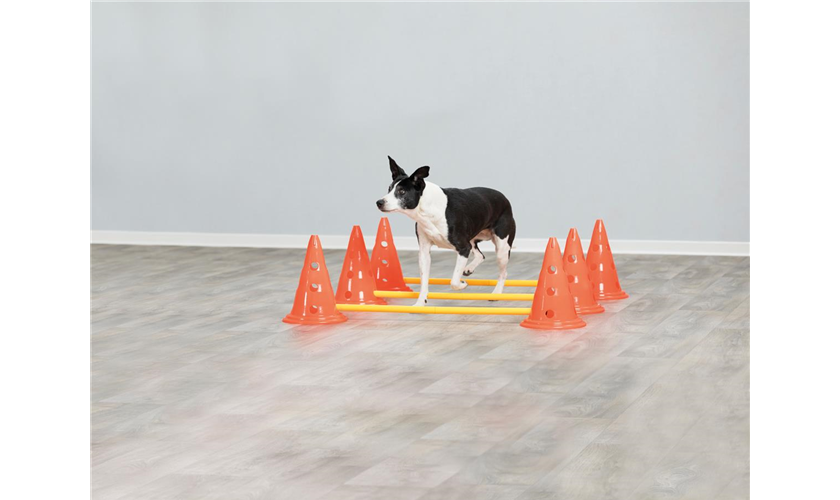 Pylonen-Hindernis-Set Art.-Nr.: 32091, Maße: ø 23 × 30 cm/78 cm, Inhalt 6 Pylonen/3 Stangen Pylonen-Hindernis-Set Art.-Nr.: 32091, Maße: ø 23 × 30 cm/78 cm, Inhalt 6 Pylonen/3 Stangen