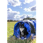 Fun Agility Mini Tunnel Art.-Nr.: 3210, Maße: ø 40 cm/2 m Fun Agility Mini Tunnel Art.-Nr.: 3210, Maße: ø 40 cm/2 m