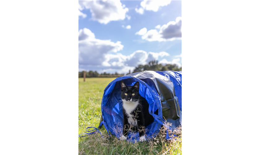 Fun Agility Mini Tunnel Art.-Nr.: 3210, Maße: ø 40 cm/2 m Fun Agility Mini Tunnel Art.-Nr.: 3210, Maße: ø 40 cm/2 m