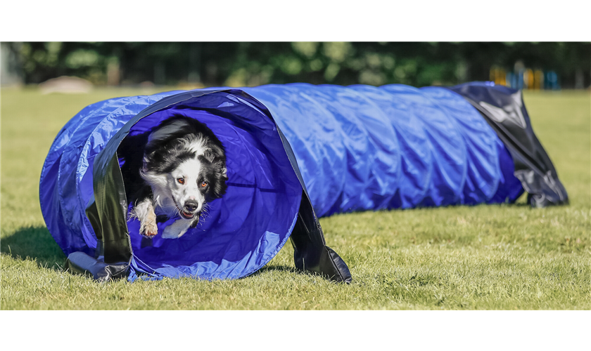 Fun Agility Basic Tunnel Art.-Nr.: 3211, Maße: ø 60 cm/5 m Fun Agility Basic Tunnel Art.-Nr.: 3211, Maße: ø 60 cm/5 m