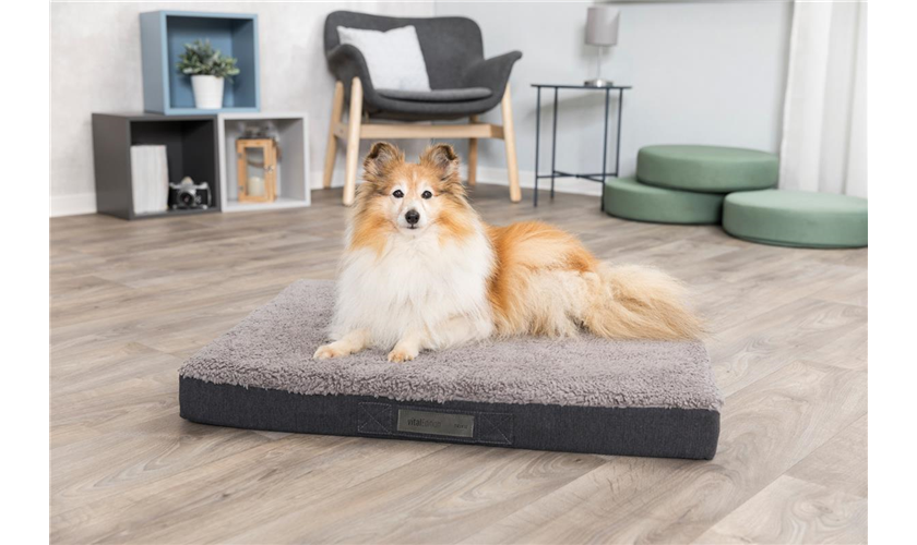 Vital Matratze Bendson dunkelgrau Art.-Nr.: 36414, Maße: 80 × 60 cm Vital Matratze Bendson dunkelgrau Art.-Nr.: 36414, Maße: 80 × 60 cm