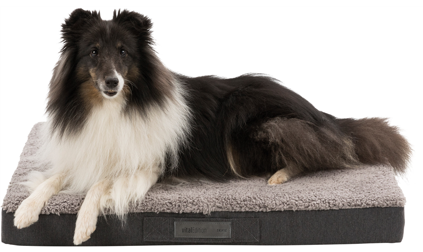 Vital Matratze Bendson dunkelgrau Art.-Nr.: 36414, Maße: 80 × 60 cm Vital Matratze Bendson dunkelgrau Art.-Nr.: 36414, Maße: 80 × 60 cm