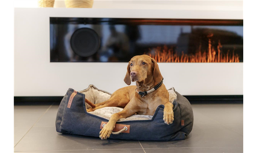 BE NORDIC Bett Föhr Art.-Nr.: 36590, Maße: 60 × 50 cm BE NORDIC Bett Föhr Art.-Nr.: 36590, Maße: 60 × 50 cm