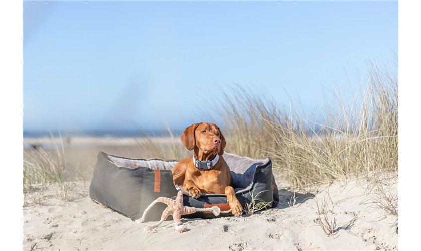 BE NORDIC Bett Föhr Art.-Nr.: 36590, Maße: 60 × 50 cm BE NORDIC Bett Föhr Art.-Nr.: 36590, Maße: 60 × 50 cm