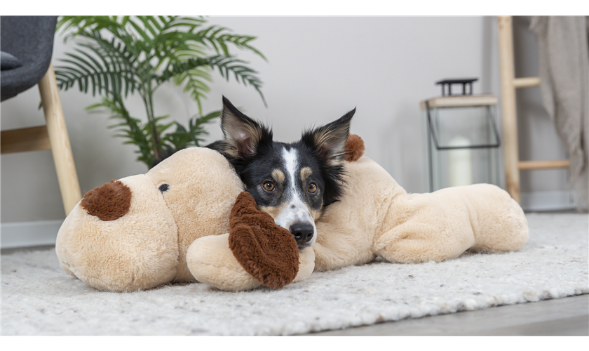 Ankuschelhund Benny Art.-Nr.: 36980, Maße: 75 cm Ankuschelhund Benny Art.-Nr.: 36980, Maße: 75 cm