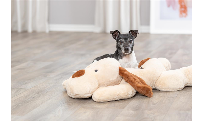 Ankuschelhund Benny Art.-Nr.: 36980, Maße: 75 cm Ankuschelhund Benny Art.-Nr.: 36980, Maße: 75 cm