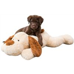 Ankuschelhund Benny Art.-Nr.: 36980, Maße: 75 cm Ankuschelhund Benny Art.-Nr.: 36980, Maße: 75 cm