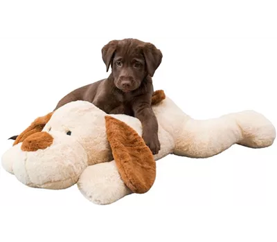 Ankuschelhund Benny Ankuschelhund Benny