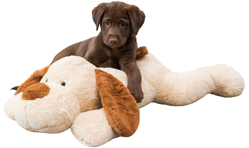 Ankuschelhund Benny Art.-Nr.: 36980, Maße: 75 cm Ankuschelhund Benny Art.-Nr.: 36980, Maße: 75 cm