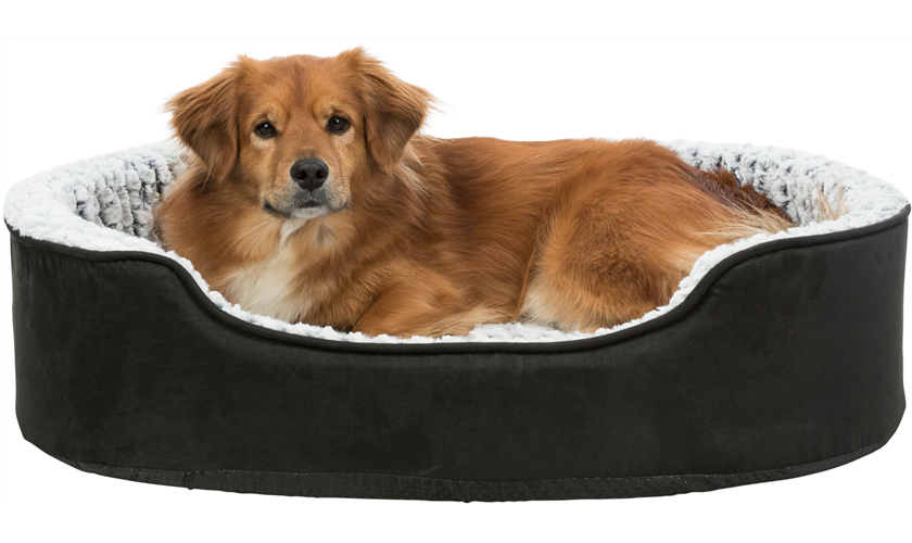 Vital Bett Lino Art.-Nr.: 37251, Maße: 60 × 45 cm Vital Bett Lino Art.-Nr.: 37251, Maße: 60 × 45 cm