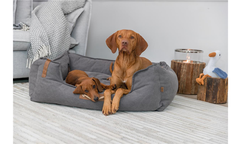 BE NORDIC Bett Föhr Art.-Nr.: 37447, Maße: 60 × 50 cm BE NORDIC Bett Föhr Art.-Nr.: 37447, Maße: 60 × 50 cm