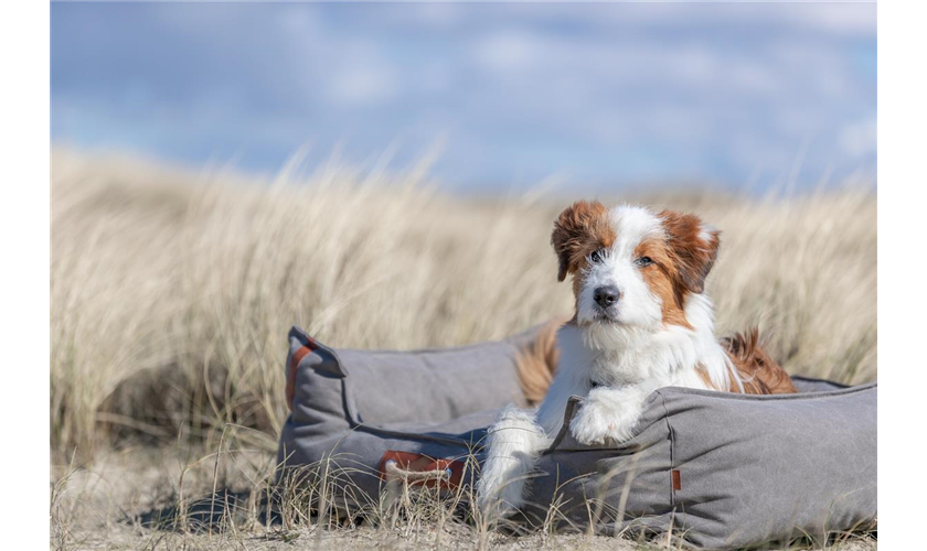 BE NORDIC Bett Föhr Art.-Nr.: 37447, Maße: 60 × 50 cm BE NORDIC Bett Föhr Art.-Nr.: 37447, Maße: 60 × 50 cm