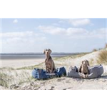 BE NORDIC Bett Föhr Art.-Nr.: 37447, Maße: 60 × 50 cm BE NORDIC Bett Föhr Art.-Nr.: 37447, Maße: 60 × 50 cm