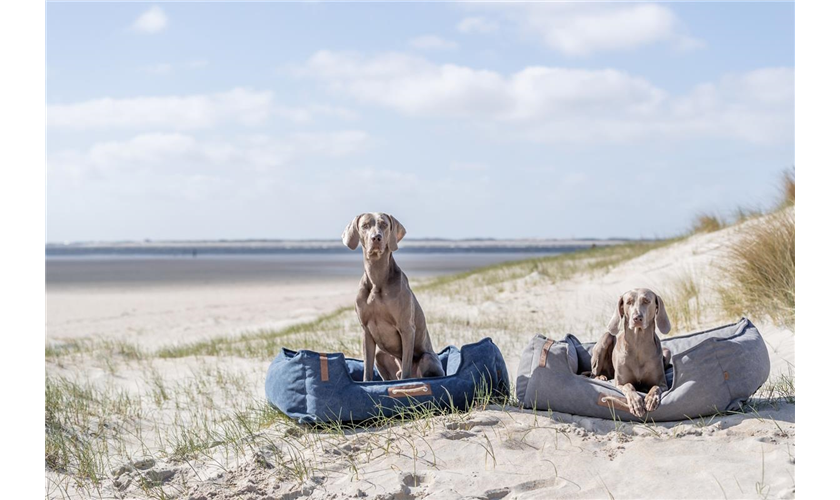 BE NORDIC Bett Föhr Art.-Nr.: 37447, Maße: 60 × 50 cm BE NORDIC Bett Föhr Art.-Nr.: 37447, Maße: 60 × 50 cm