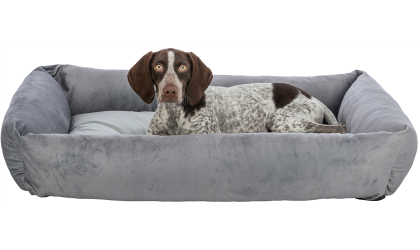 Bett Lionel Art.-Nr.: 37772, Maße: 80 × 65 cm Bett Lionel Art.-Nr.: 37772, Maße: 80 × 65 cm