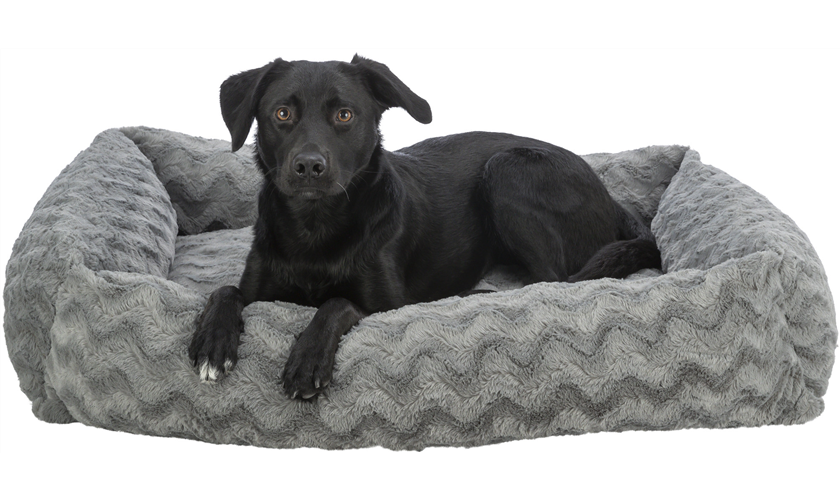 Vital Bett Loki Art.-Nr.: 37930, Maße: 50 × 35 cm, grau Vital Bett Loki Art.-Nr.: 37930, Maße: 50 × 35 cm, grau