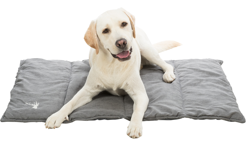 Reisedecke Leni Art.-Nr.: 37991, Maße: 100 × 70 cm Reisedecke Leni Art.-Nr.: 37991, Maße: 100 × 70 cm