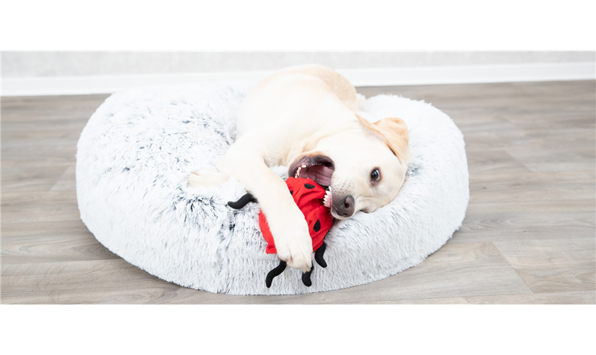 Kissen Harvey Art.-Nr.: 38015, Maße: ø 60 cm Kissen Harvey Art.-Nr.: 38015, Maße: ø 60 cm