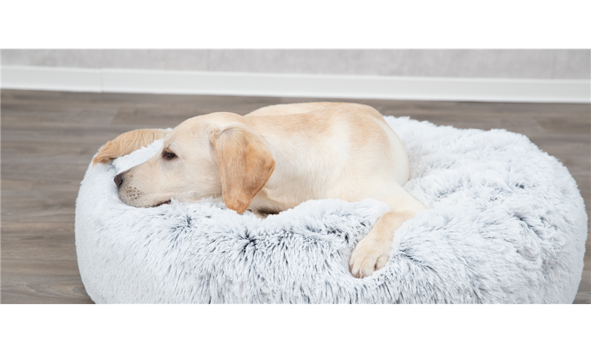 Kissen Harvey Art.-Nr.: 38015, Maße: ø 60 cm Kissen Harvey Art.-Nr.: 38015, Maße: ø 60 cm