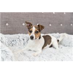 Polster-Schondecke Harvey Art.-Nr.: 38046, Maße: 90 × 90 cm Polster-Schondecke Harvey Art.-Nr.: 38046, Maße: 90 × 90 cm