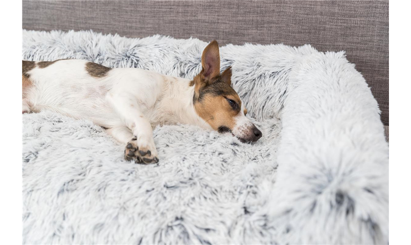 Polster-Schondecke Harvey Art.-Nr.: 38046, Maße: 90 × 90 cm Polster-Schondecke Harvey Art.-Nr.: 38046, Maße: 90 × 90 cm