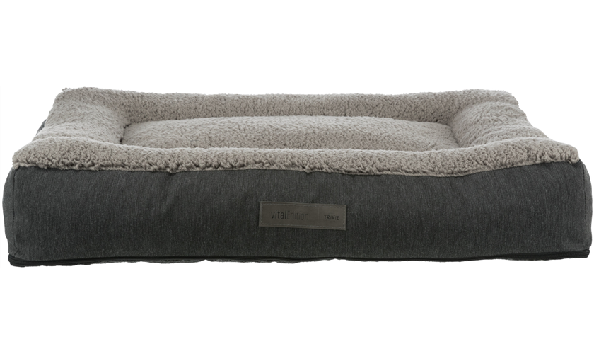 Vital Kissen Bendson Art.-Nr.: 38261, Maße: 100 × 70 cm