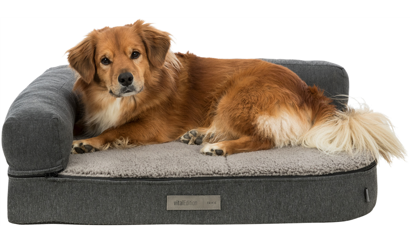 Vital Sofa Bendson Art.-Nr.: 38274, Maße: 100 × 80 cm