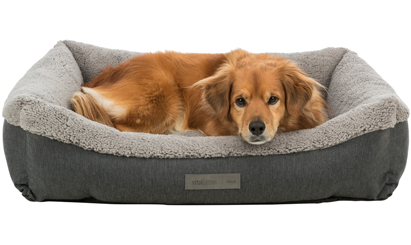 Vital Bett Bendson Art.-Nr.: 38278, Maße: 90 × 60 cm