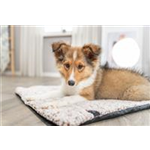 Liegematte Calida Art.-Nr.: 384002, Maße: 100 × 65 cm