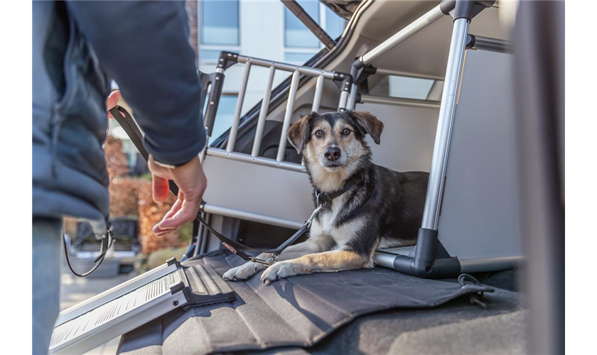 Transportbox, Aluminium Art.-Nr.: 39341, Größe M, Maße: 53 x 61 × 74 cm, bis zu 20 kg
