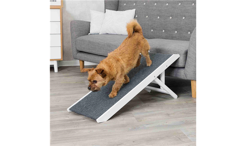 Rampe, höhenverstellbar Art.-Nr.: 39375, Maße: 36 × 43 × 90 cm, bis zu: 40 kg