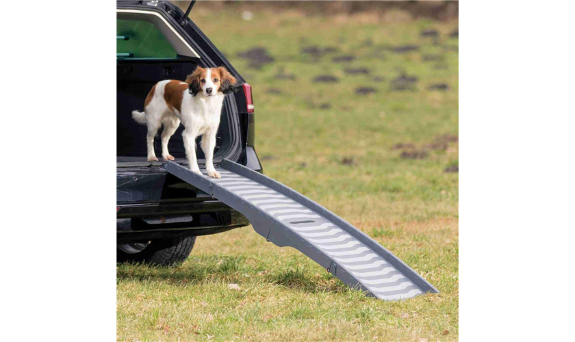 3-fach Klapp-Rampe Art.-Nr.: 39476, Maße: 39 × 150 cm, bis zu: 25 kg 3-fach Klapp-Rampe Art.-Nr.: 39476, Maße: 39 × 150 cm, bis zu: 25 kg