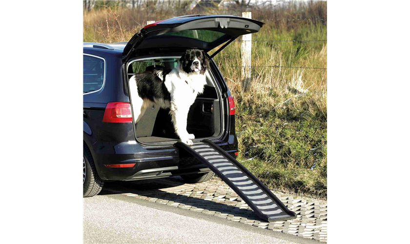 Klapp-Rampe Art.-Nr.: 39477, Maße: 39 × 160 cm, bis zu: 70 kg