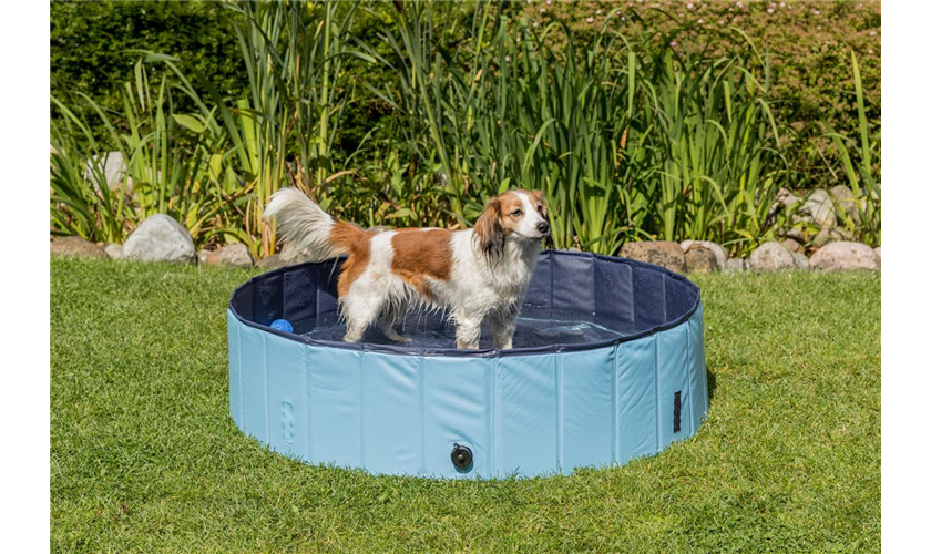 Hundepool Art.-Nr.: 39481, Maße: ø 80 × 20 cm