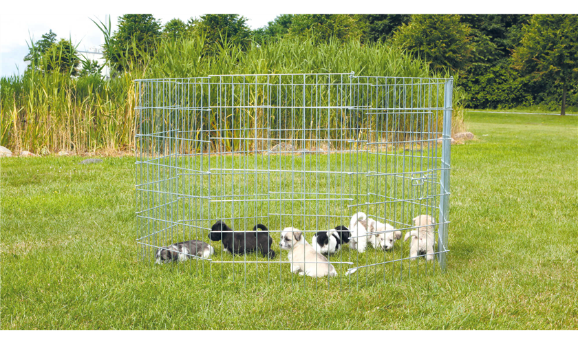 Freilauf für kleine Hunde Art.-Nr.: 3954, Maße: ø 154 × 91 cm