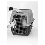 Transportbox Giona Art.-Nr.: 39892, Größe S-M, Maße: 50 x 51 × 70 cm, bis zu 18 kg