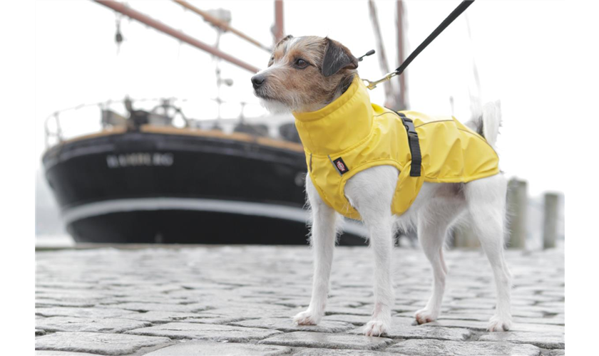 Regenmantel Vimy für Hunde Art.-Nr.: 67975, Größe M, Bauchumfang 48-73 cm, Rückenlänge 50 cm, gelb
