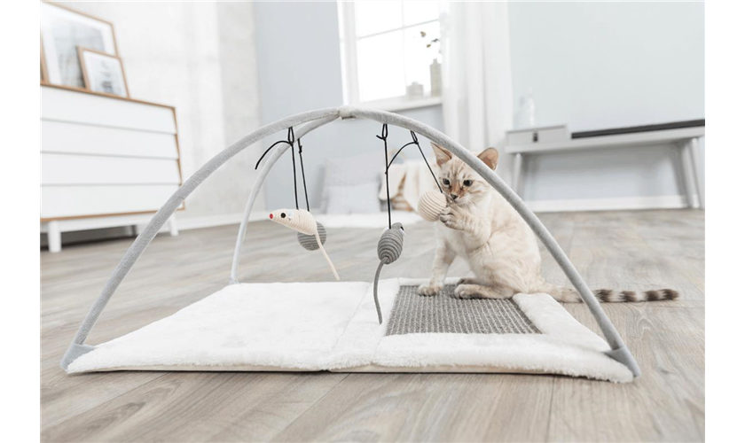 Kratzmatte Art.-Nr.: 43114, Maße: 60 × 33 × 42 cm