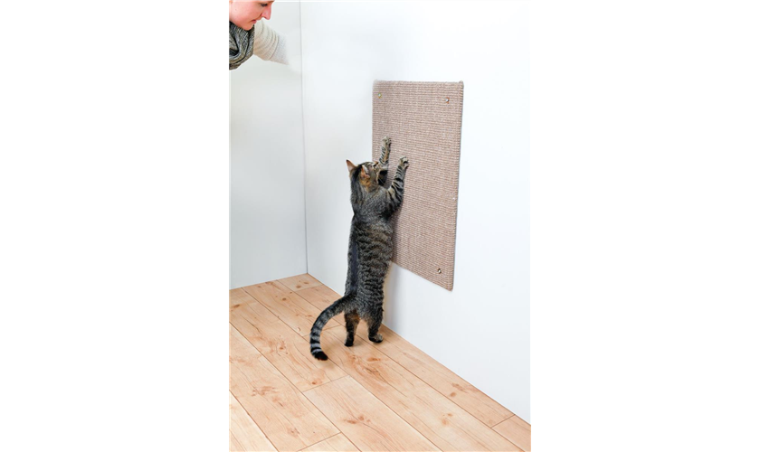 Kratzbrett XXL Art.-Nr.: 43166, Maße: 50 × 70 cm