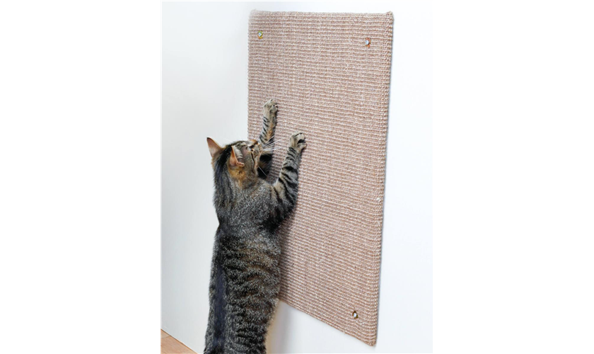 Kratzbrett XXL Art.-Nr.: 43166, Maße: 50 × 70 cm