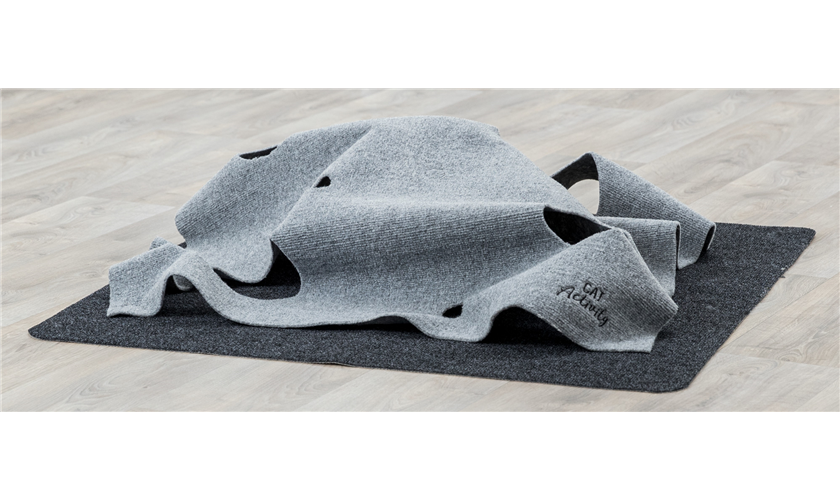 Adventure Carpet Art.-Nr.: 45890, Maße: 99 × 99 cm