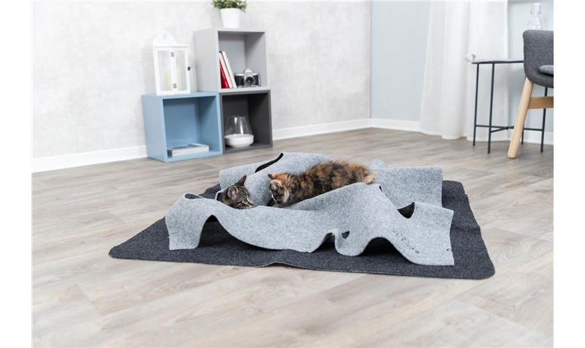 Adventure Carpet Art.-Nr.: 45890, Maße: 99 × 99 cm