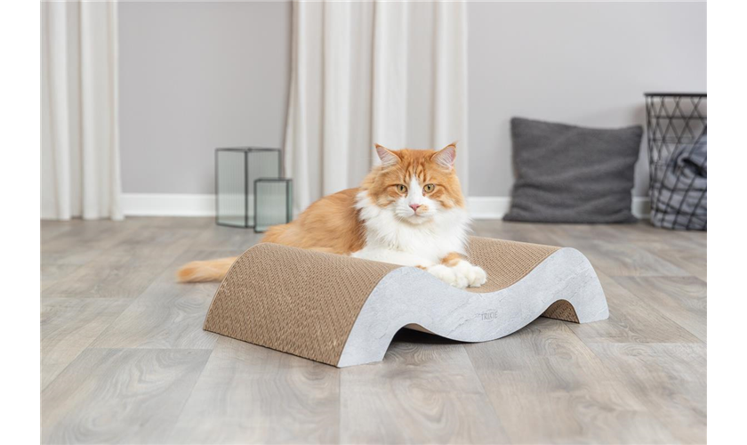 Kratzwelle XXL Art.-Nr.: 48031, Maße: 64 × 14 × 37 cm