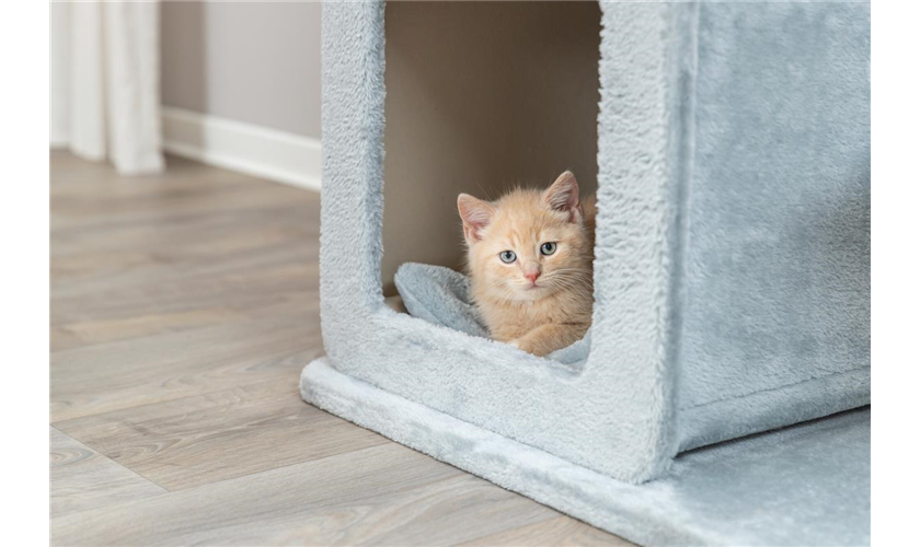 Kratzbaum Elena Art.-Nr.: 48115, Grundfläche: 74 × 45 cm, Höhe: 83 cm