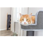 Kratzbaum XXL Ava II Art.-Nr.: 48120, Grundfläche: 50 × 50 cm, Höhe: 112 cm