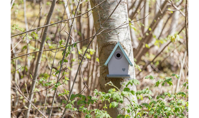 Nistkasten für Höhlenbrüter Art.-Nr.: 55858, Maße: 20 × 26 × 17cm/ø 3,2 cm, für z. B.: Großmeise