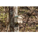 Nistkasten für Sperlinge Art.-Nr.: 55909, Maße: 33 × 30 × 21 cm