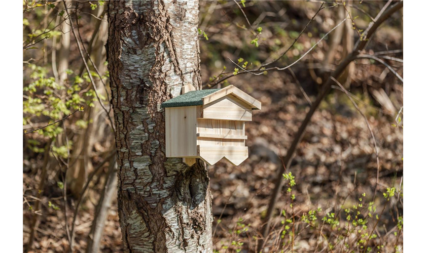 Nistkasten für Sperlinge Art.-Nr.: 55909, Maße: 33 × 30 × 21 cm