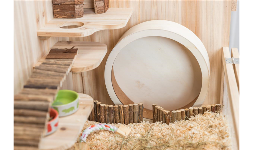 Laufrad Art.-Nr.: 60923, Maße: ø 28 cm, für z. B. Hamster