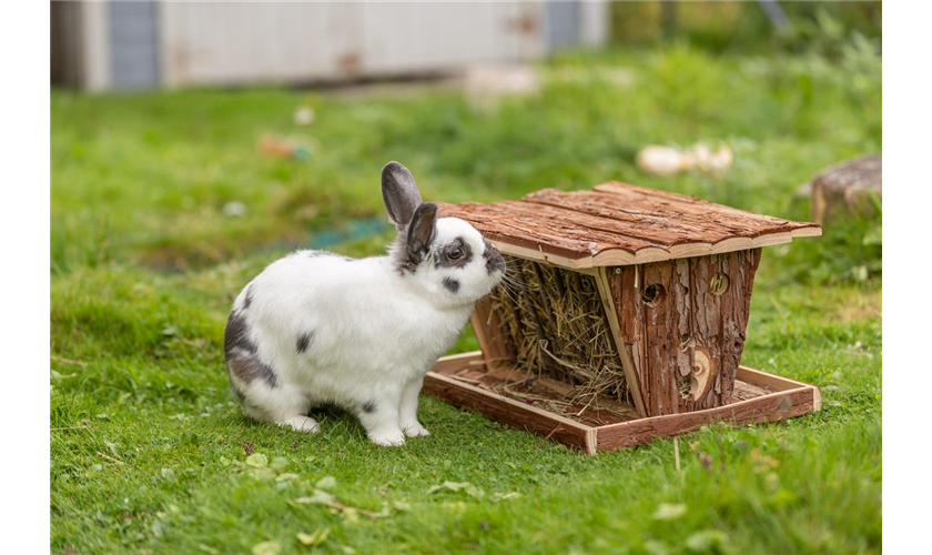 Heuraufe zum Aufstellen Art.-Nr.: 61805, Maße: 40 × 22 × 30 cm, für z. B.: Meerschweinchen, Kaninchen